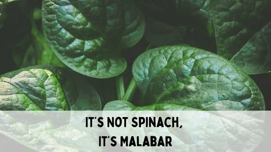 Close-up of fresh Malabar spinach leaves with text overlay saying it's not spinach, it's Malabar