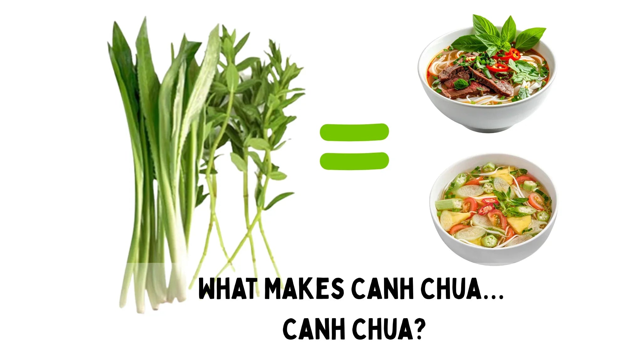culantro and rice paddy herb with equal sign to bowl of pho and bowl of canh chua